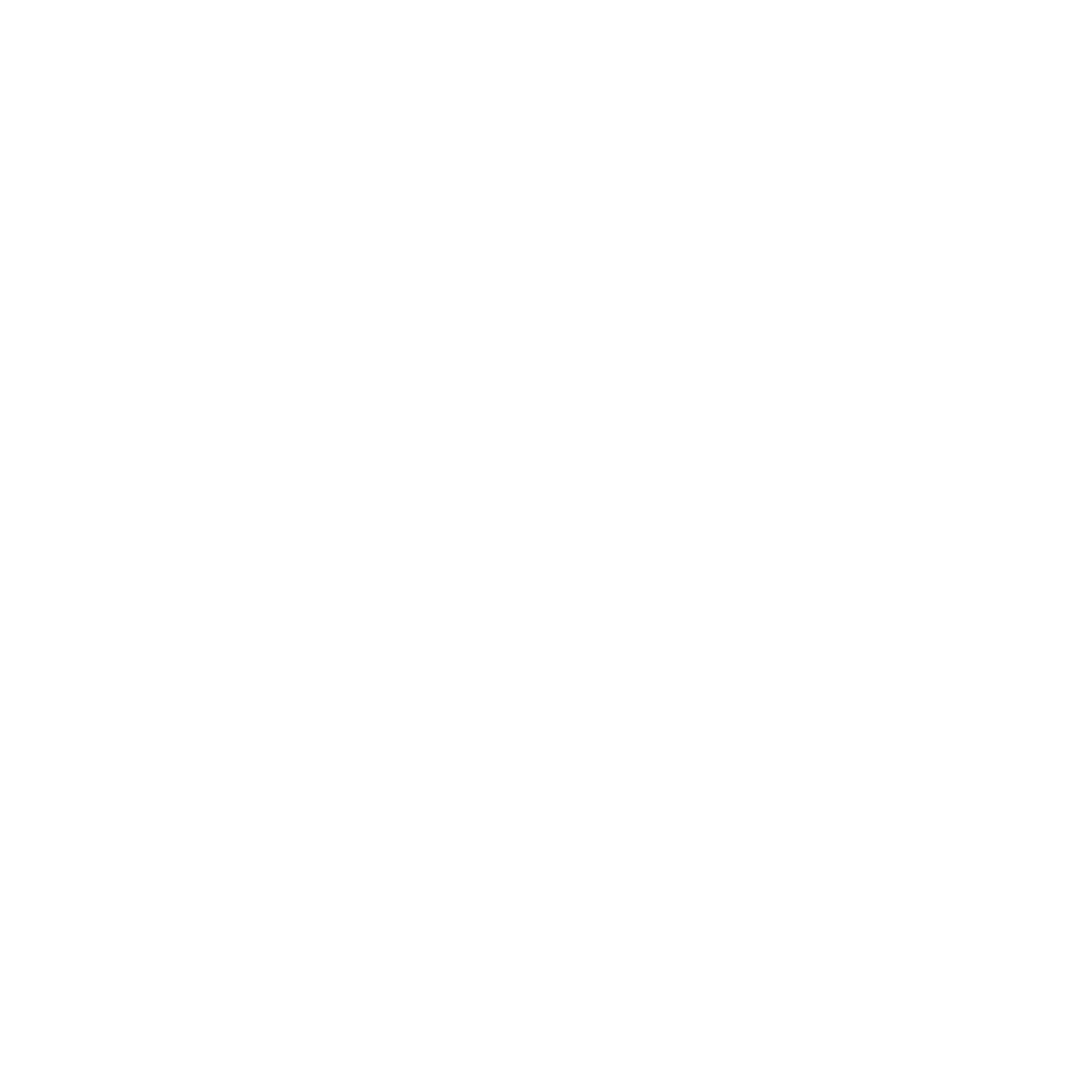 FX FOTOFILM